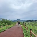 남산교앞 네이버블로그