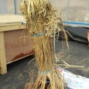 윤경농장 이미지