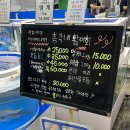 시장] 황리단길근처 회포장 전문 “총각네활어회” 추천(광어소금김밥/에스라인불닭발/콘치즈/차돌된장...