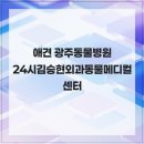 24시김승현외과동물메디컬센터 | 애견 광주동물병원 24시김승현외과동물메디컬센터