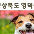 영덕사랑동물병원 이미지