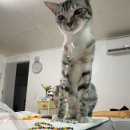 부산진시장 이미지