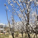 미사누리2호공원 이미지