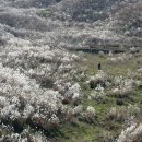 거창목장 이미지