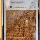 [저녁] 이집트전통벨리댄스 | 룩소르 Day4 슈크란아흐메드