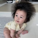 사야