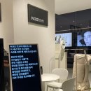 An's 명품펫 애견백화점 | 시몬스 N32모션베드 매트리스 추천 반려견까지 만족할 펫매트리스