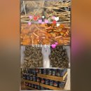 오태중학교 이미지