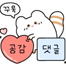 붕붕키즈풀빌라 이미지