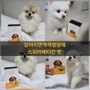 (주)애니픽 이미지