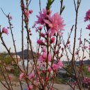 연희종합주방 이미지