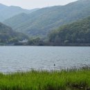 능내1리 이미지