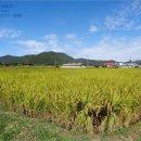 용두3리 마을회관 이미지