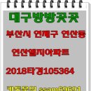 연제구-115 이미지