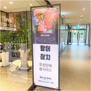 스트로아일랜드