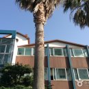 중문양옥 이미지