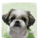 강아지그림