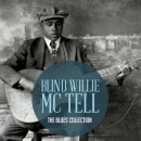 You Was Born to Die - Blind Willie McTell - 이미지