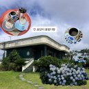 송다방 - 고창군 중거리당산로 153 | 📍제주 동쪽 카페 추천! 풍림다방 메뉴, 핸드드립 커피, 브레붸 솔직 후기☕️🤍