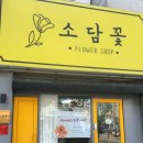 소담꽃 이미지