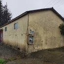 표선리-1 이미지