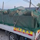 무릉도원면-4 이미지