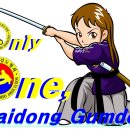 해동검도 이미지