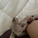 해평단골식당 이미지