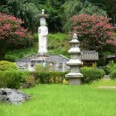 꽃피는 풍경 이미지