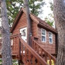 트리하우스 이미지