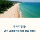 고래불관광지 | 영덕 고래불 해수욕장 위치, 주차, 편의시설 총정리