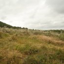 중앙사슴목장 이미지