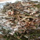 고향꼬치미 이미지