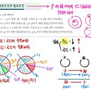 의치한학원