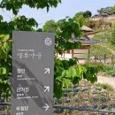 양동마을 무첨당 화장실 티스토리