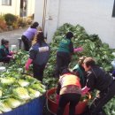 내촌면사무소 이미지