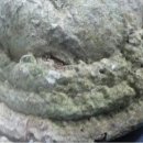 말굽별