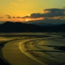 순천만습지 이미지