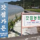 산속에토종닭 이미지