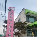넓은 반려견 운동장이있는 남양주애견유치원 뀨카페 &amp; 댕치원