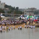 2013 속초 장사항 오징어 맨손잡기 축제 안내 이미지