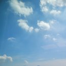 백년축산 네이버블로그