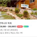 우복동 편백 펜션 이미지