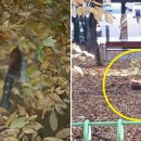 인천중학교 내 이미지