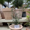 삼익농원 이미지