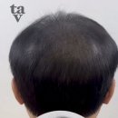 타브스튜디오