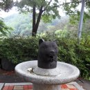 지곡사 Daum카페