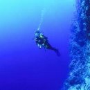 씨~월드 이미지