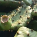 선화농장2 이미지