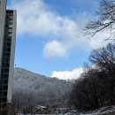 새마당세탁공장 | 19Ⅱ세탁기 셀프청소•세탁 공장 돌리고,,🌀 임신후기에 태동없음, 막달검사, 새가족 맞이 할 준비하는 일상